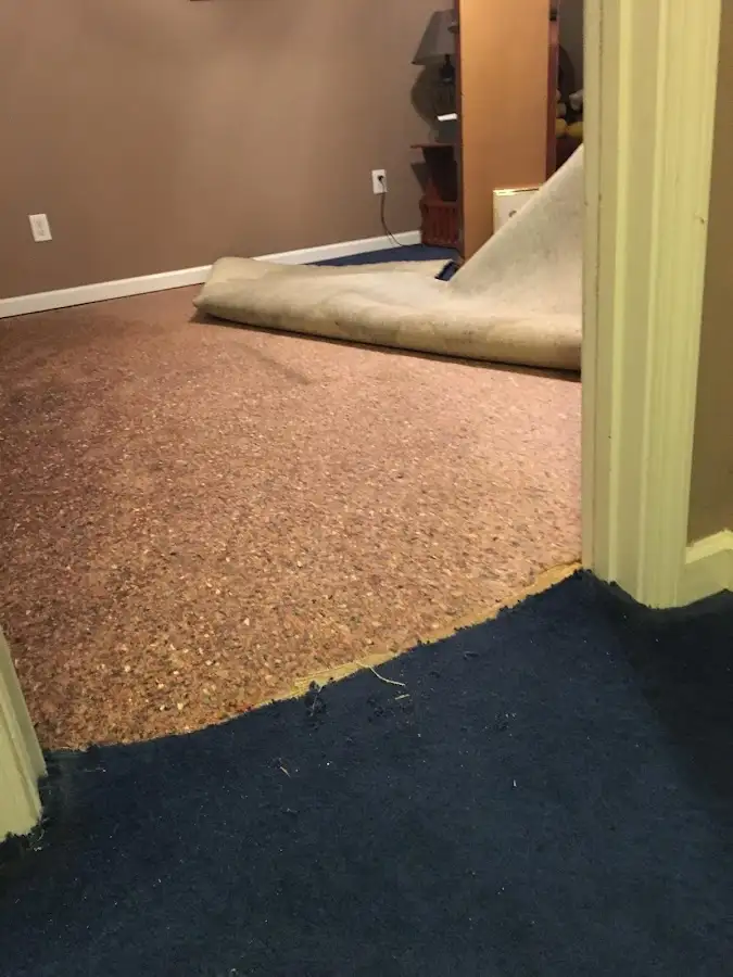 Carpet pad removal revealing water damage during Water Mitigation Services in Kochville